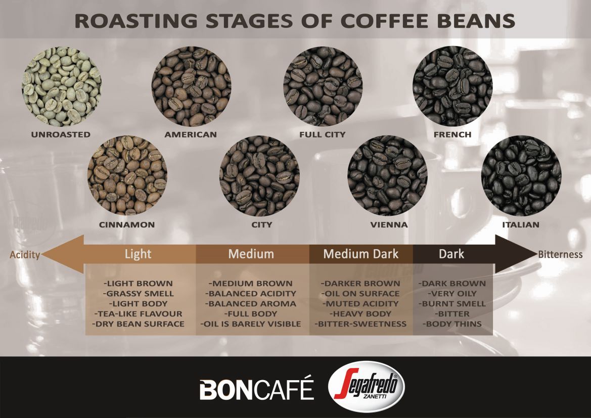 Coffee Bean Types Chart