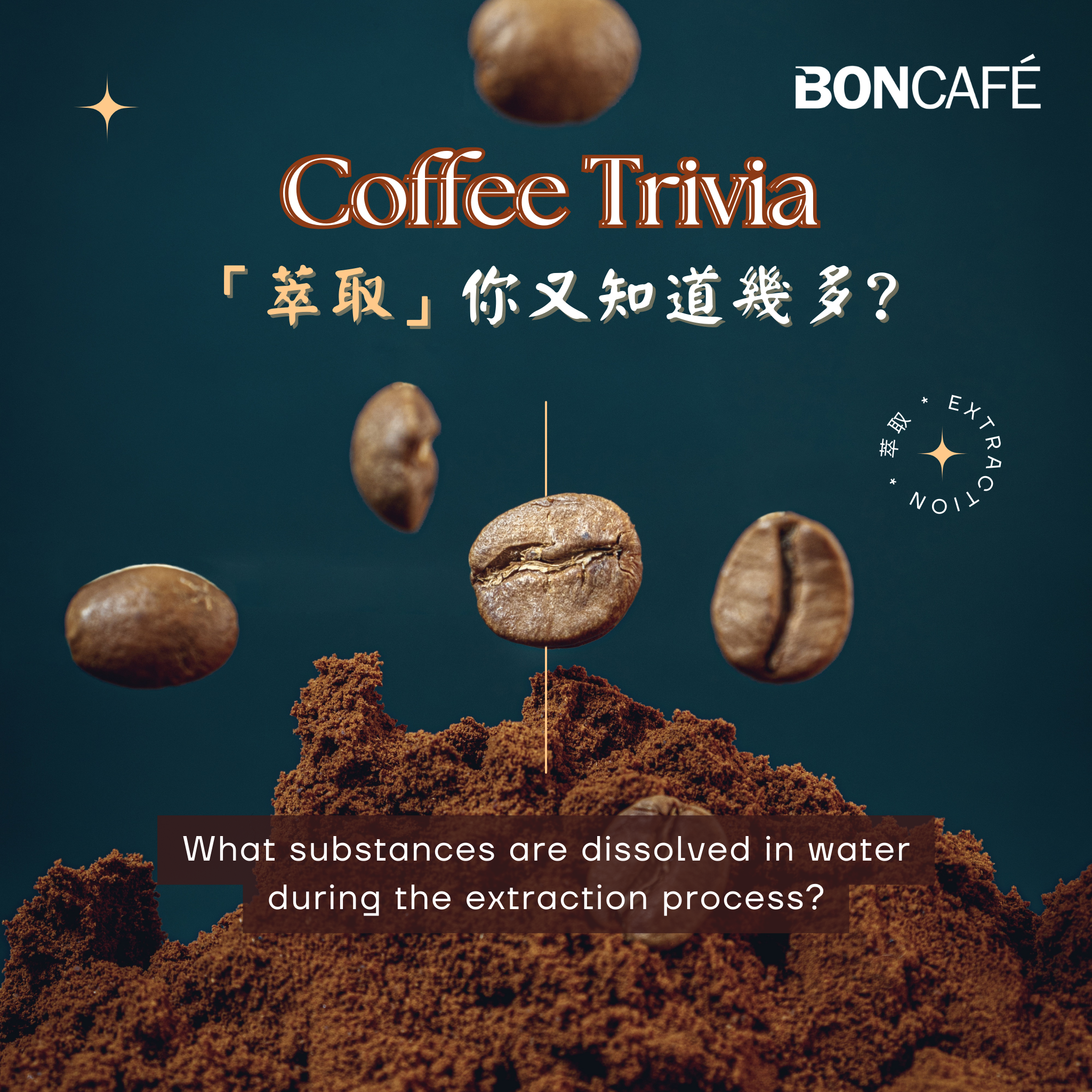 【Cold Knowledge of Coffee | How much do you know about 