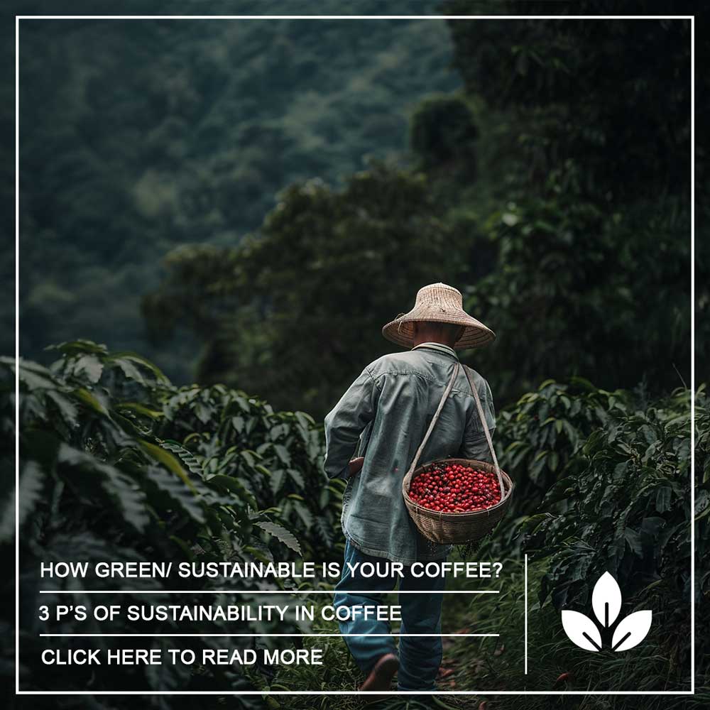 How Green/Sustainable Is Your Coffee? 3 Ps of Sustainability in Coffee